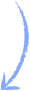 decoration vector